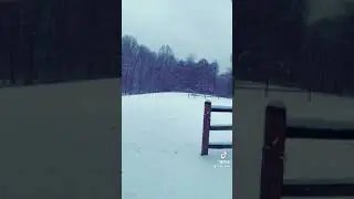 Winter snowstorm virginia 2021