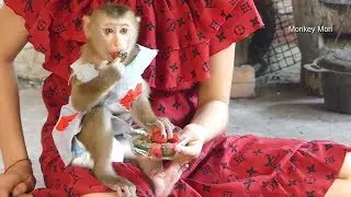 Monkey Mori!! Mori Tasty Strawberry First Time