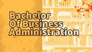 Bachelor of Business| Basic Details To Know About BBA Before Choosing