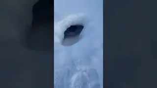 Big snow fort￼