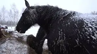 Кому сложнее в холода.