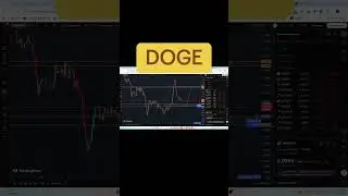Обновил doge, жду подбор на Лонг
