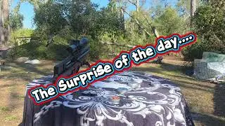 Pellet Testing with the Pinty Bullpup....Part 1