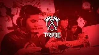 The Day TRIBE's DNZio Destroyed ROX ARMADA | The Fallen World Champion