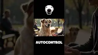 Adiestramiento canino pr&aacute;ctico: controla los impulsos de tu perro y mejora su conducta diaria