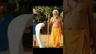 Suddenly, a huge snake appeared in the village pond.