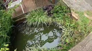 Whimsical Garden Decor