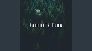 Vital Yoga Flow