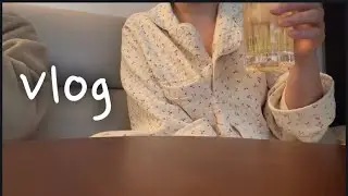 개발자 브이로그 | 이번엔 일 하는 영상 좀 있음ㅋ | 본가 출퇴근 (사육 당하고 옴) | 남편 생일 