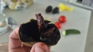 First seedling black sapote in south australia