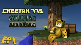 VOD: CHEETAH 77s 