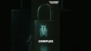 The Internet's Most Secret Society - Cicada 3301