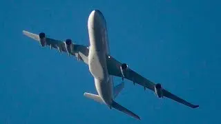 ✈Airbus A340 QATAR Правительство / Аэропорт Внуково 2018