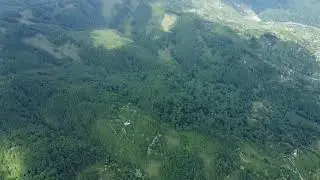 In Sotrile jos dupa poteca ( feral Vistieru )