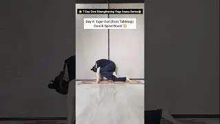 Tiger Curl 🐅 from Tabletop | Day 4 Core Strength Challenge#Yoga #shortsfeed #yogapractice #youtube