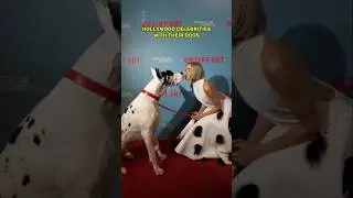 Hollywood Celebrities & Their Adorable Dogs - You Won&rsquo;t Believe The Last One #funny #dog #celebrity
