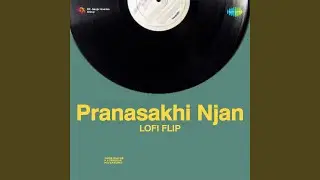 Pranasakhi Njan - Lofi Flip