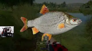 Russian Fishing 4 &ndash; Polowanie na Medalowe Płocie na Jeziorze Komar&oacute;wka! 🏆🐟
