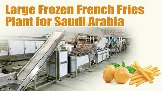 500kg/h Frozen French Fries Production Line for Shipping to Saudi Arabia with Automation Production