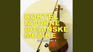 Studensko kolo