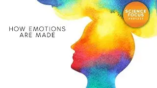 How emotions are made