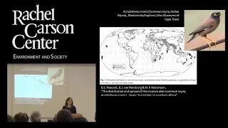 Lunchtime Colloquium: Ruth Morgan