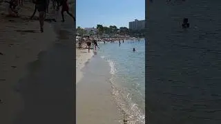 #summer☀️walk on the beach 🏖Playa de Palmira 🏝Mallorca 🌞 Spain 🇪🇦#shorts