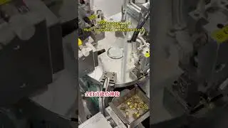 Precision Rivet Assembly Equipment  Automated Solutions for Terminals