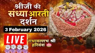 श्री लाड़ली जू की संध्या आरती के दर्शन श्री बरसाना धाम 03-02-2026 +91-8595252064☎️#radhekrishna 