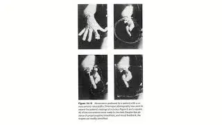 PSYCH360 Cognitive Processes, Online Module 9, 2 The serial order problem