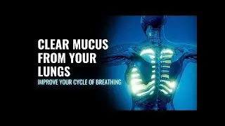 Clear Mucus from Your Lungs | Improve Your Cycle of Breathing | Get More Oxygen in Your Lungs-741Hz