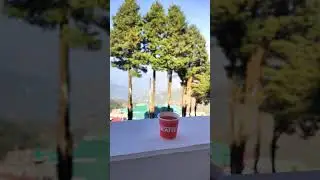 Tea Lover☕ #teatime #tealover #video #short #shortvideo #reels #lovers #video