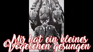 Mir hat ein kleines Vögelchen gesungen - German soldier song + English translation