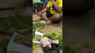 Varukurom Saapidrom — Glimpse #funny #bbq #homecookingchannel Always welcomes you