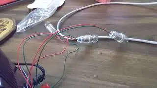 DIY Disney Parks Twinkle Lights Project - Testing Train transformer firefly lights - 3 flasher bulbs
