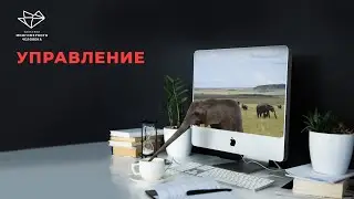 Управление