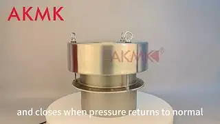 Pressure Relief Valve（3）
