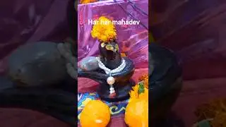 Har har mahadev 🙏🌹🕉️.#ytshorts #shortvideos #mahadev #baba #namah #shiv #song #youtube