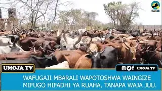 TANAPA WAJA JUU MIFUGO KUINGIZWA IHEFU, WAPOTOSHAJI WAONYWA