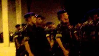 CIAVEX - 2010