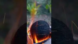 Coconut Stuffing Sweet Recipe 😋 #viral #food #shorts