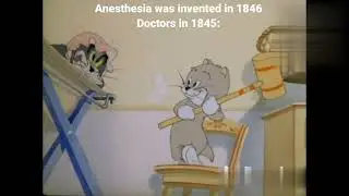 Anesthesia was invented in 1846 Doctors in 1845 #tomandjerry #memes #funnyvideo