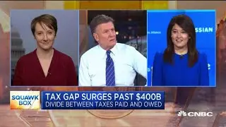 IRS tax collection enforcement requires congressional resources: Expert