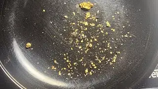 Me and @Modern Michigan prospecter live gold weight out from the live