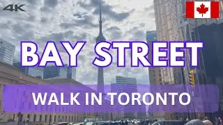 Bay Street - Walk in downtown Toronto 🇨🇦