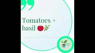 Companion Planting Guide