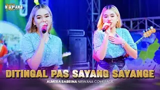DITINGGAL PAS SAYANG SAYANGE - Almera Sabrina OM NIRWANA COMEBACK