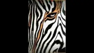 Tory Amos  Mr.Zebra  Зебра