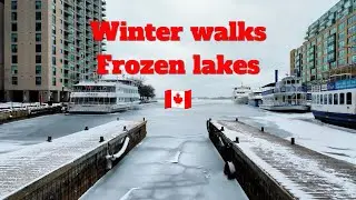 Snow, winter, freezing - Toronto winter walk - Canada 🇨🇦🥶