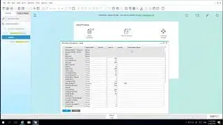 SAP Business One - Custom Field  Menu Names